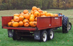 image of pumpkins in a wagon