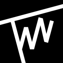 the women's network logo