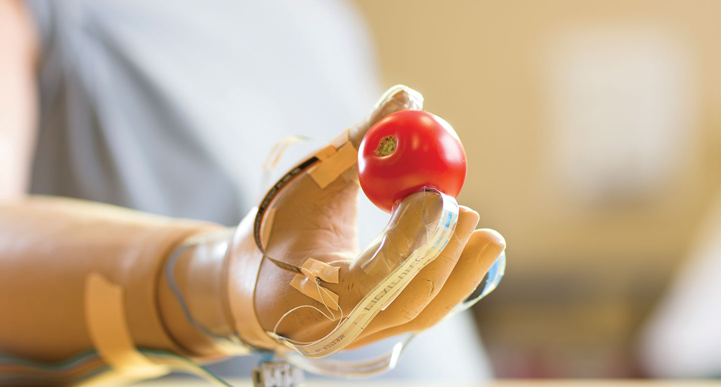 Photo of artificial hand grasping a tomato