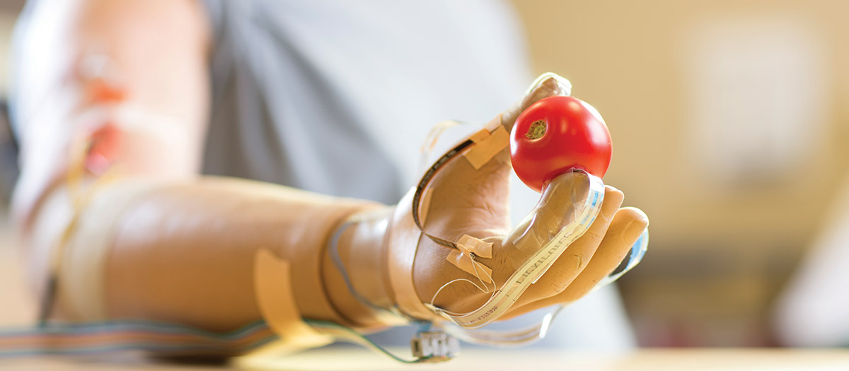 Artificial hand connected to body holding tomato 