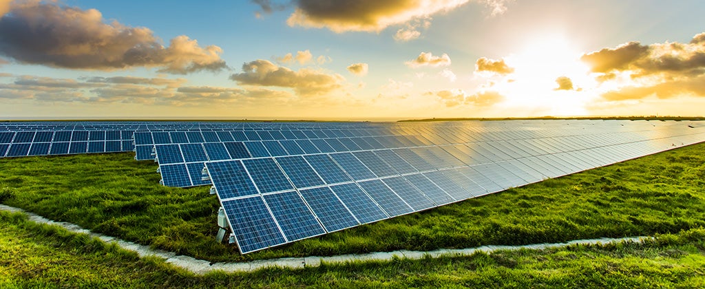 Solar panels at sunrise