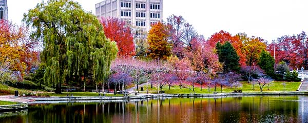 Photo of Wade Lagoon with trees with fall colors around it