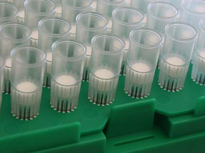 Image of green rack of of clear vials in rows of eight containing a white substance  