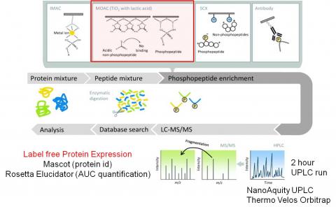 global phospho expression proteomics
