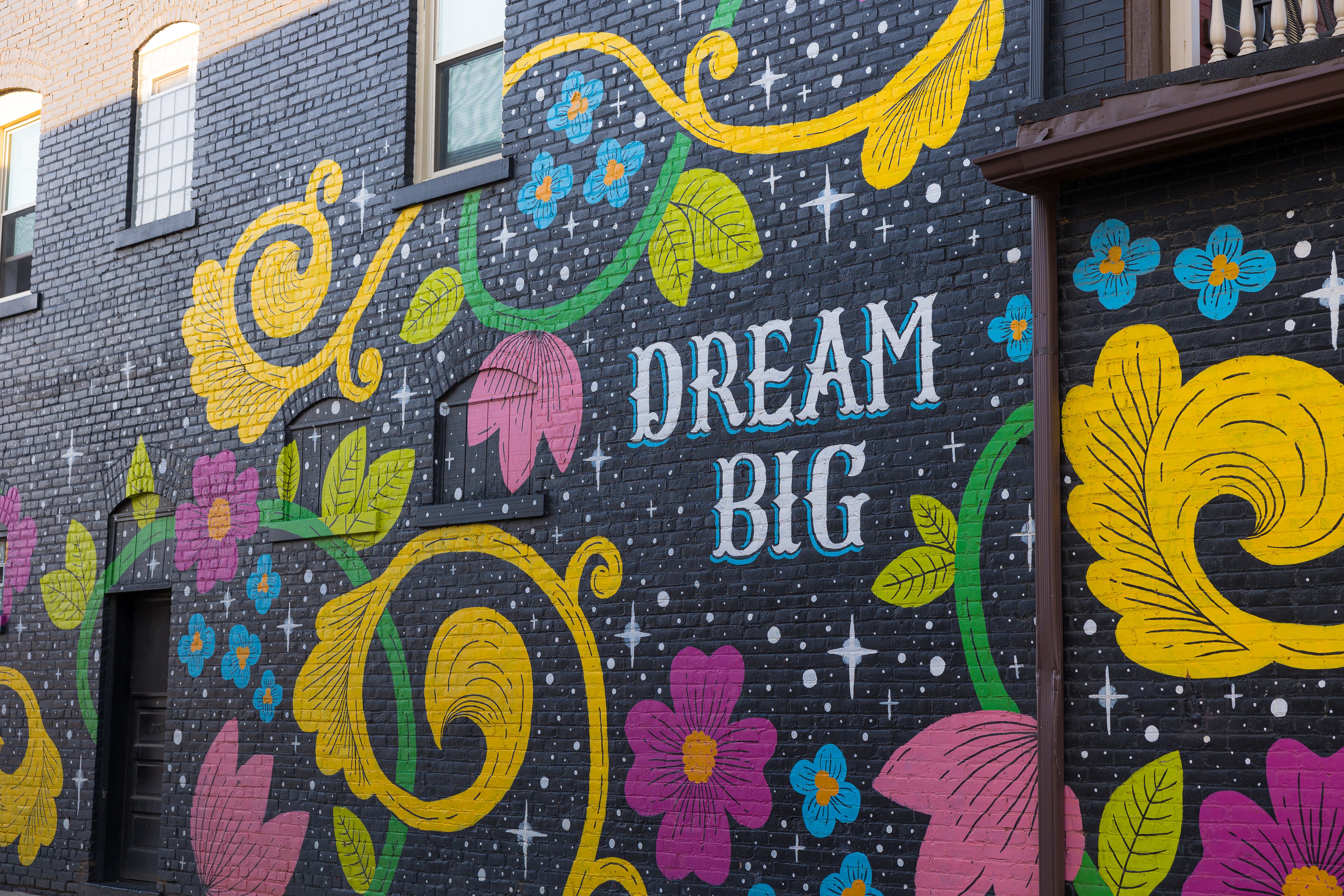 Painted mural with flowers and the words Dream Big