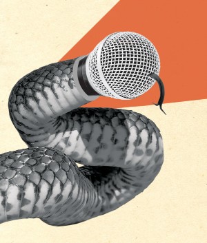 Snake with a microphone for its head