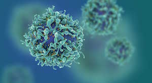 Microscopic view of T cells