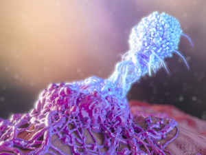 Digitally created image of an immune cell attacking a part of the body