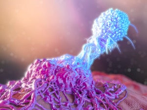 Digitally created image of an immune cell attacking a part of the body