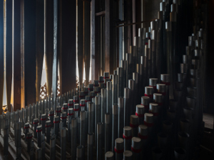 Organ Pipes at Amasa Stone Chapel