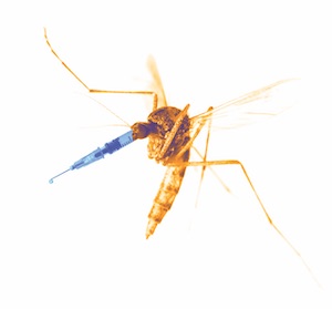 Large mosquito w/ a syringe needle as a mouth (i.e. as it's proboscis)