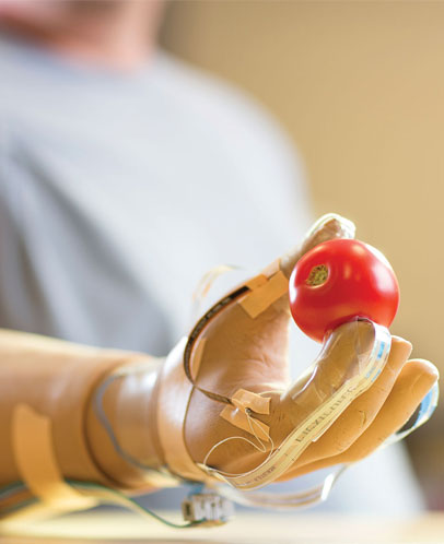 Picture of artificial hand