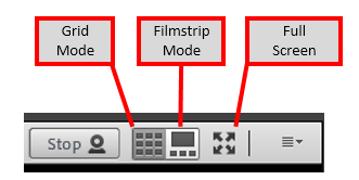 Adobe Connect Video Buttons