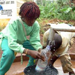 Clean Water in Cameroon