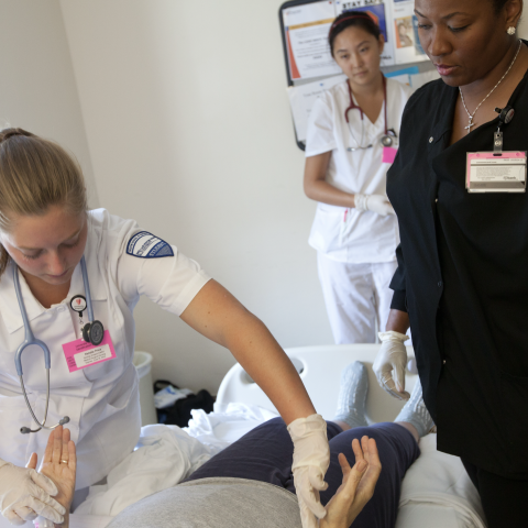 Student doing nursing