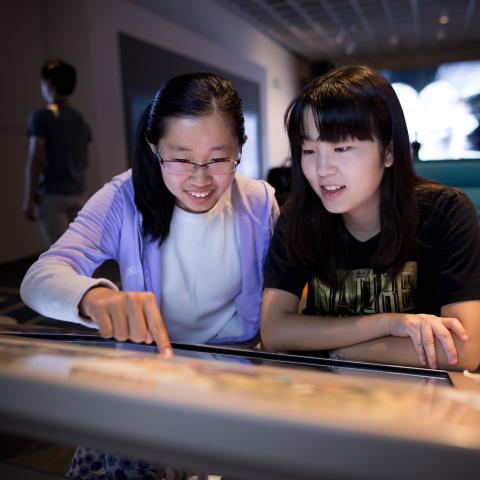 Students looking at a screen