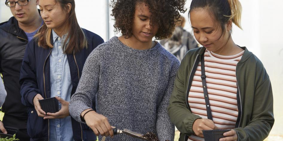  Building personal plant kits at the University Farm during the Harvest Festival