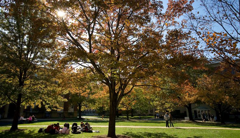 Students sitting on the grass in the Quad at sunset