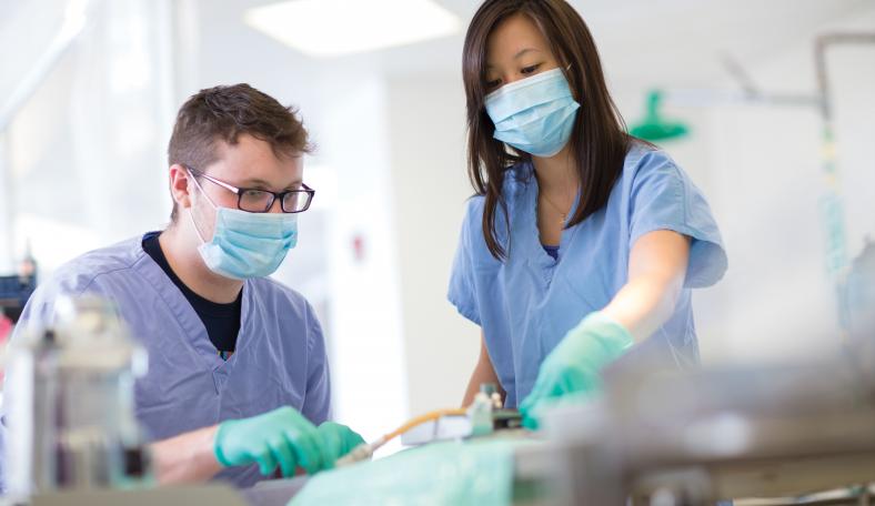 Students doing clinical work at Case Western Reserve University