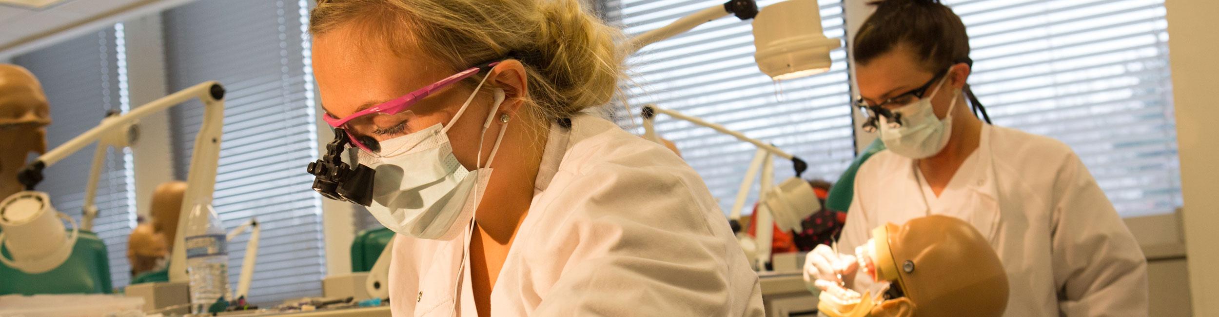 Dental Students in class