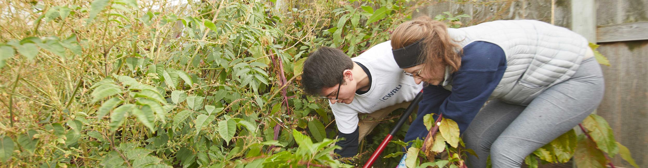Students landscaping