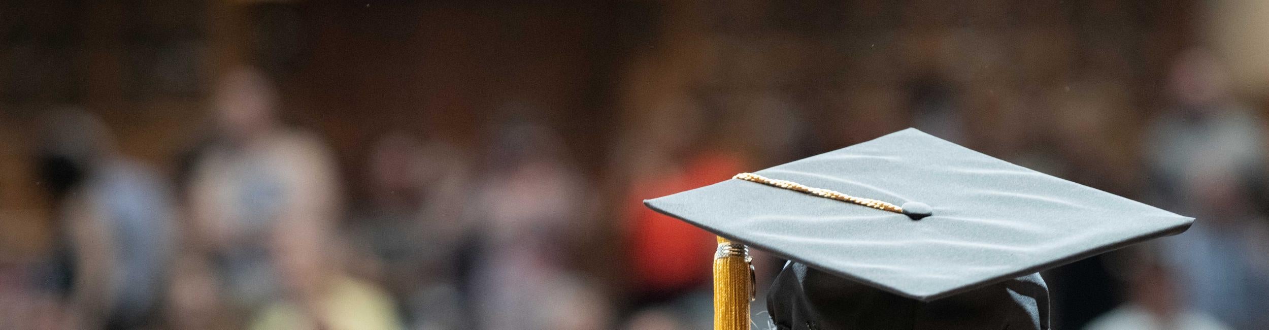 Student in cap and gown, from behind