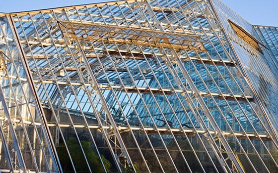 Exterior view of the windows at the Botanical Gardens