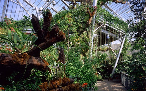 Interior view of the atrium inside of the botanical gardens