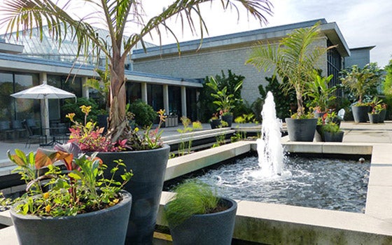 Fountain at the botanical gardens