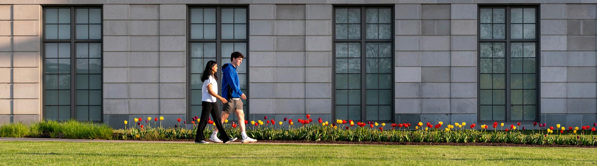 Students walking across a tulip-lined path next to a building.