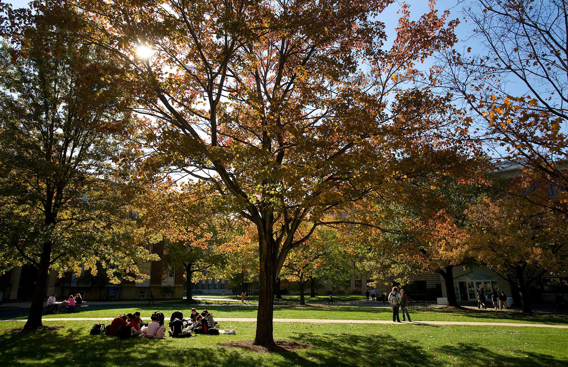 Students sitting on the grass in the Quad at sunset