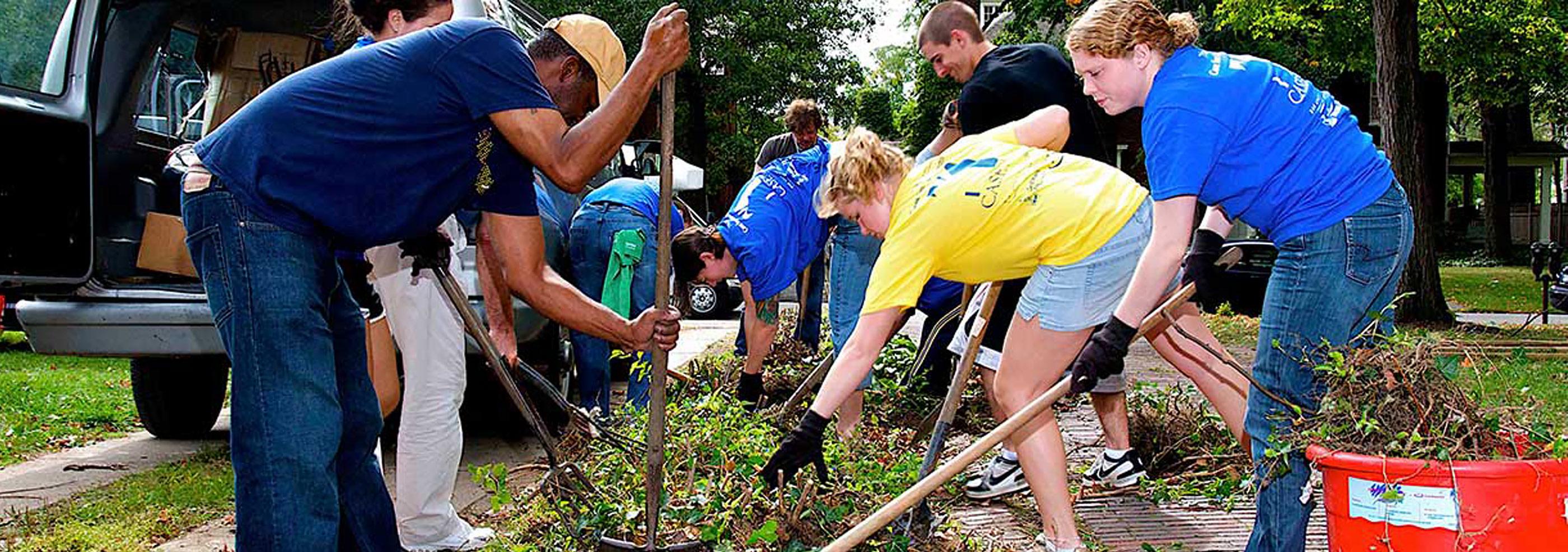 Student volunteers working on a garden