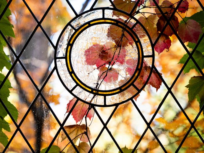 Window with leaves visible outside.