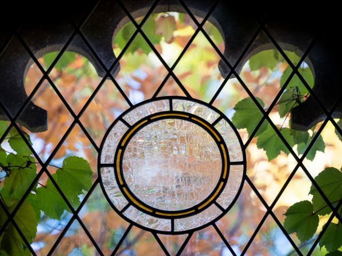 View through a stained glass window with green leaves and an embossed pattern.
