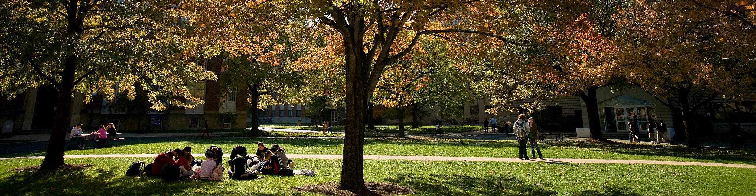 Students sitting outside in the quad