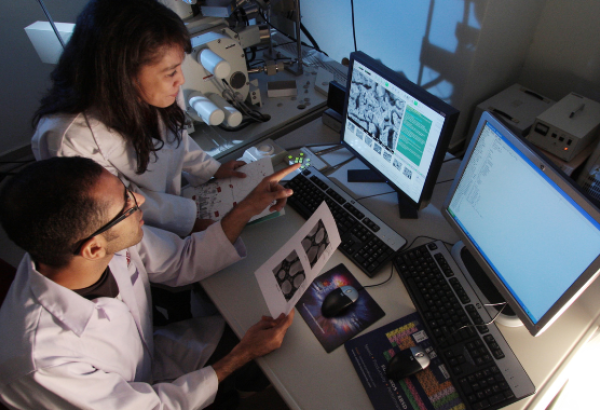 Two researchers work together on computers in a lab setting.
