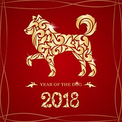 Year Of The Dog