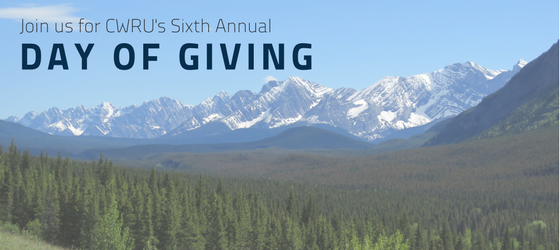 Day of Giving, Denver banner 