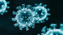 Microscopic view of the COVID-19 virus, light blue with black background