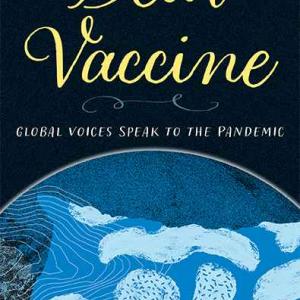 Black, white and blue image of book cover