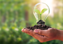 Image of hand holding lightbulb with plant growing inside