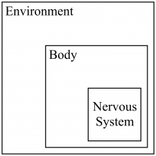 A schematic showing how the brain is embodied 