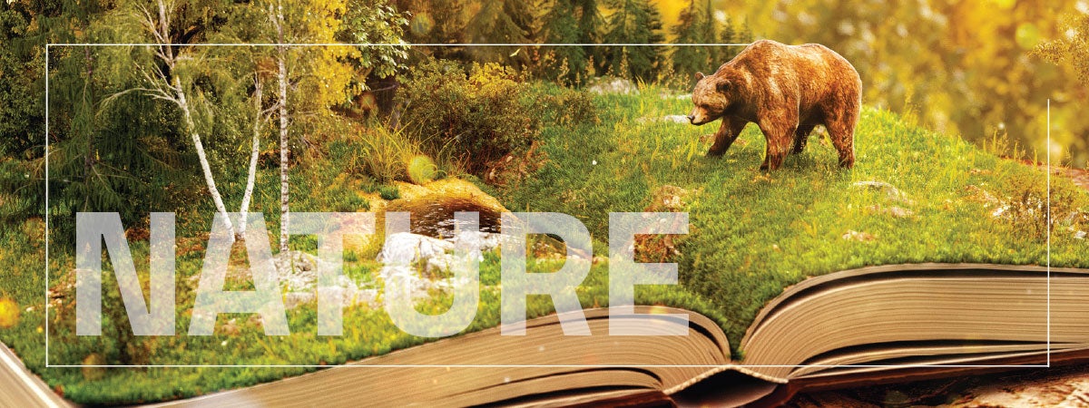 Nature written over a picture of a bear in a forest coming out of a book.