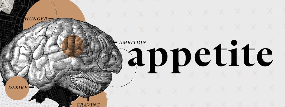 drawing of brain with words surrounding it