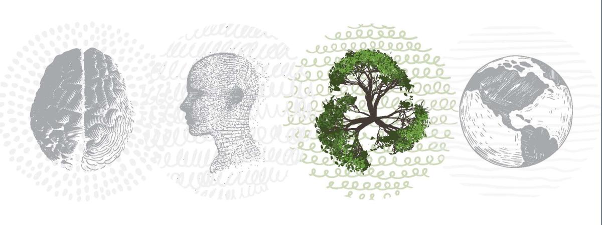 Designed graphic images of the brain, a human head highlighted, a tree in color and the world