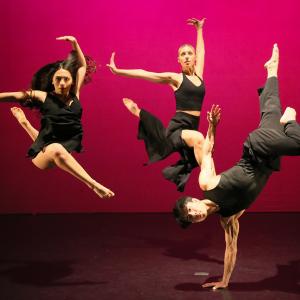 Emergence Photo 2