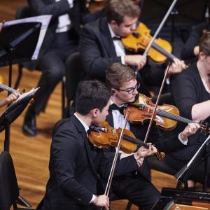 Orchestra violin section