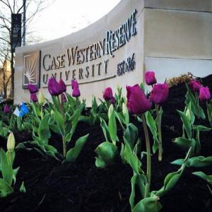 CWRU Wall with Tulips