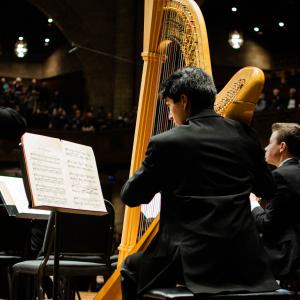 MPAC Harp