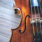 Violin stock photo